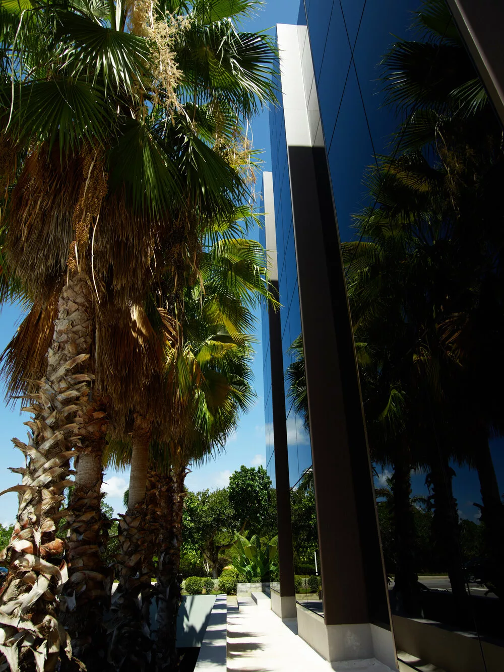 Centro Profesional Punta Cana exteriores